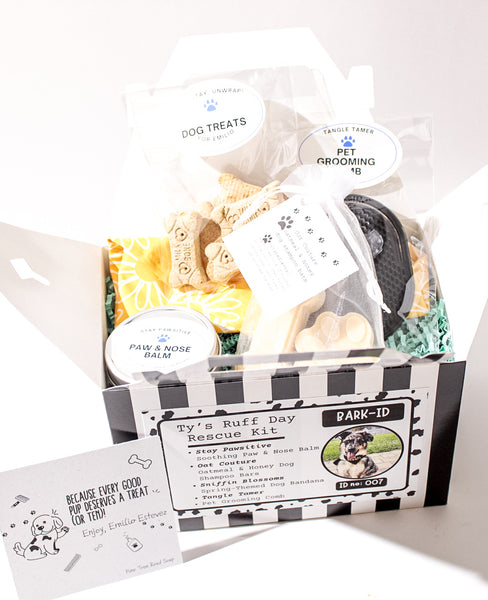 TY'S RUFF DAY RESCUE KIT - DOG PAW CARE BOX #1